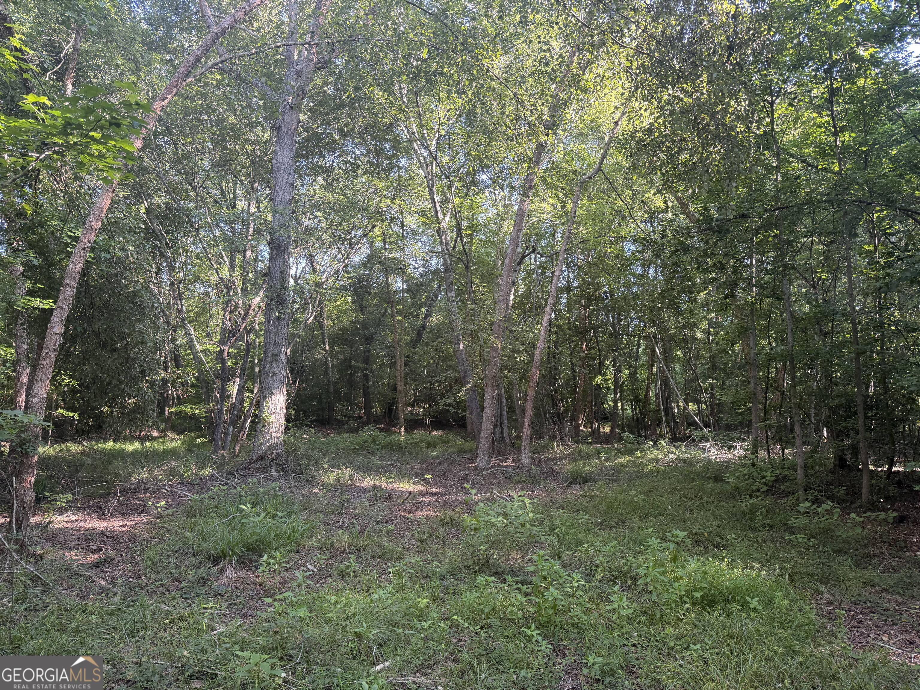 0 Branan Road Toomsboro GA 31090