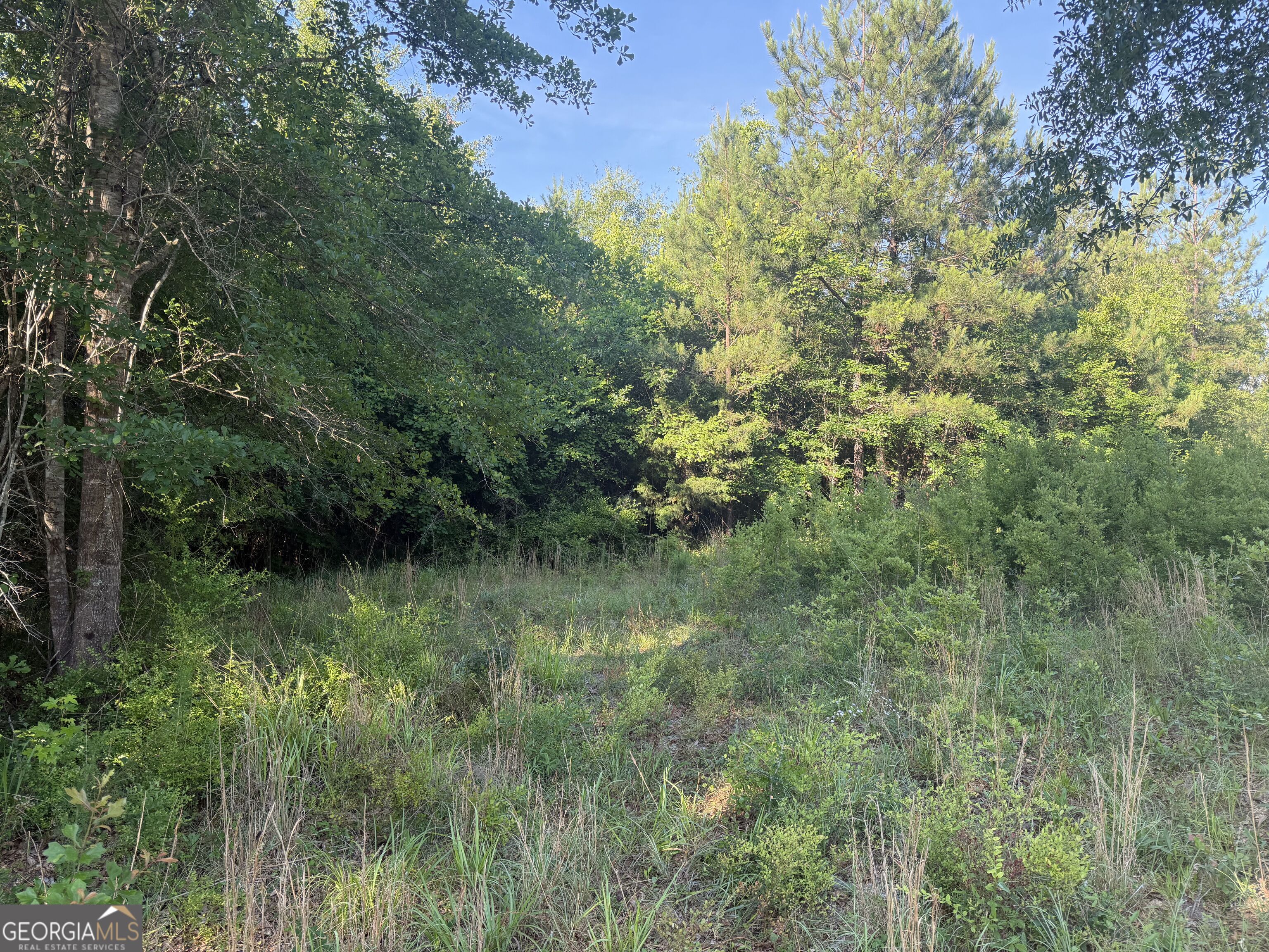 0 Branan Road Toomsboro GA 31090