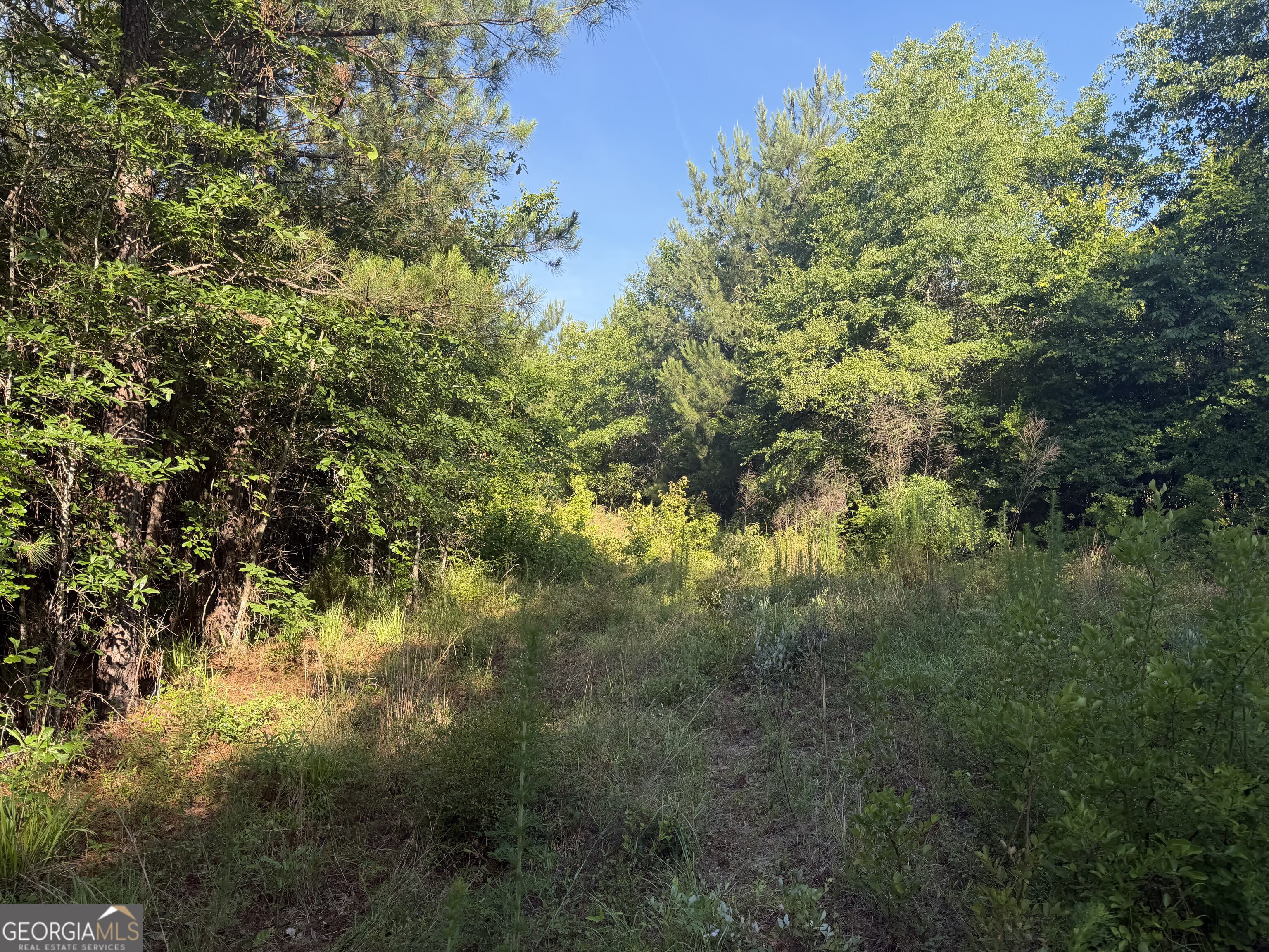 0 Branan Road Toomsboro GA 31090
