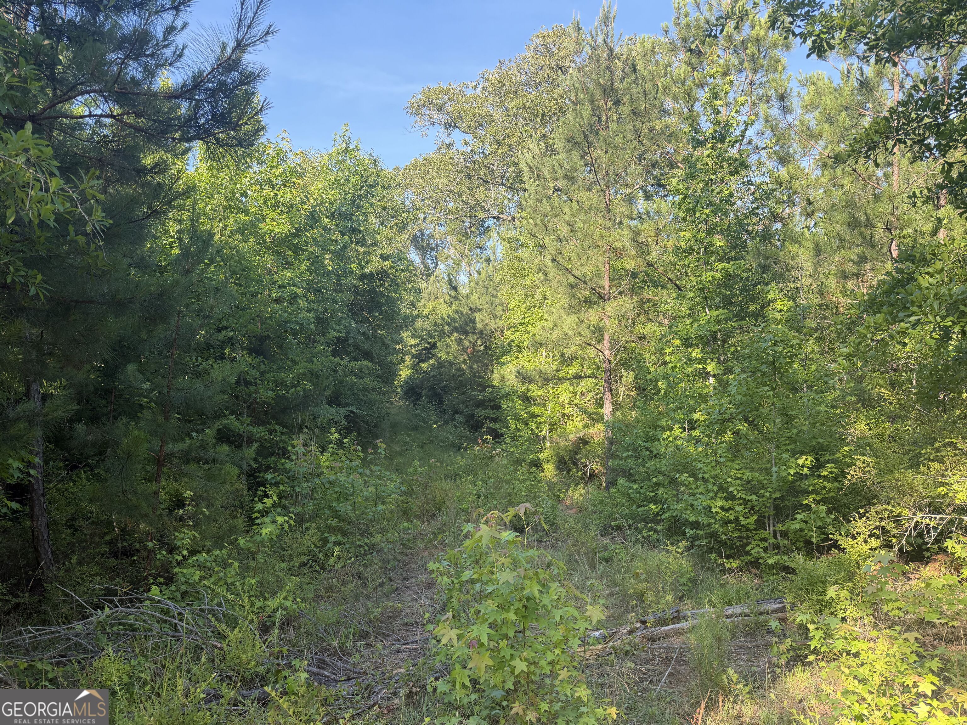 0 Branan Road Toomsboro GA 31090