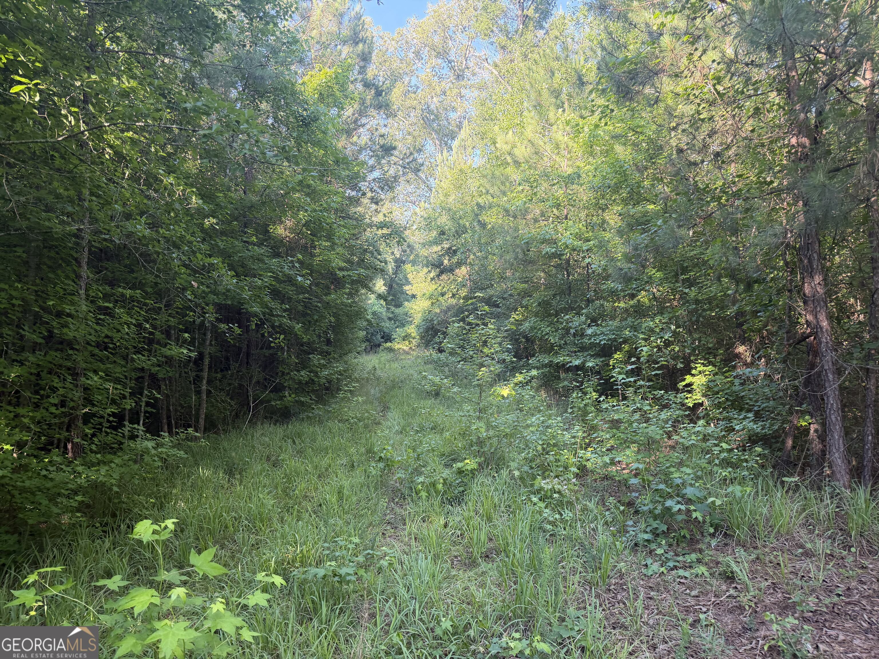 0 Branan Road Toomsboro GA 31090