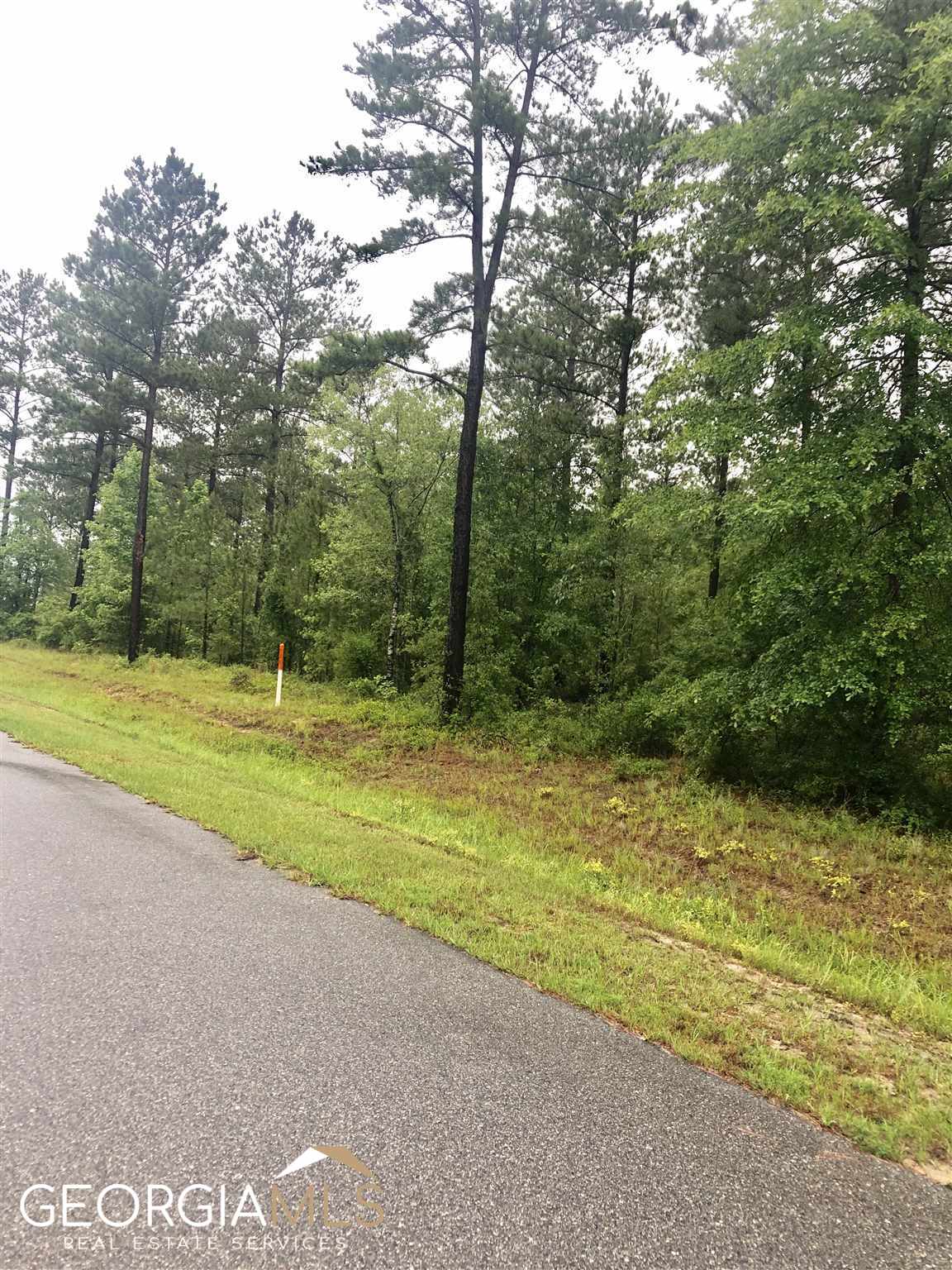 0 Chieftain Trail Dublin GA 31021