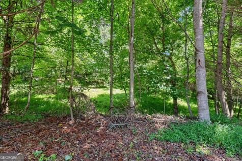 938 Highway 515 W Blairsville GA 30512