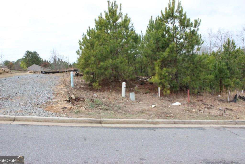 2 Lots Park Lane Woodstock GA 30188