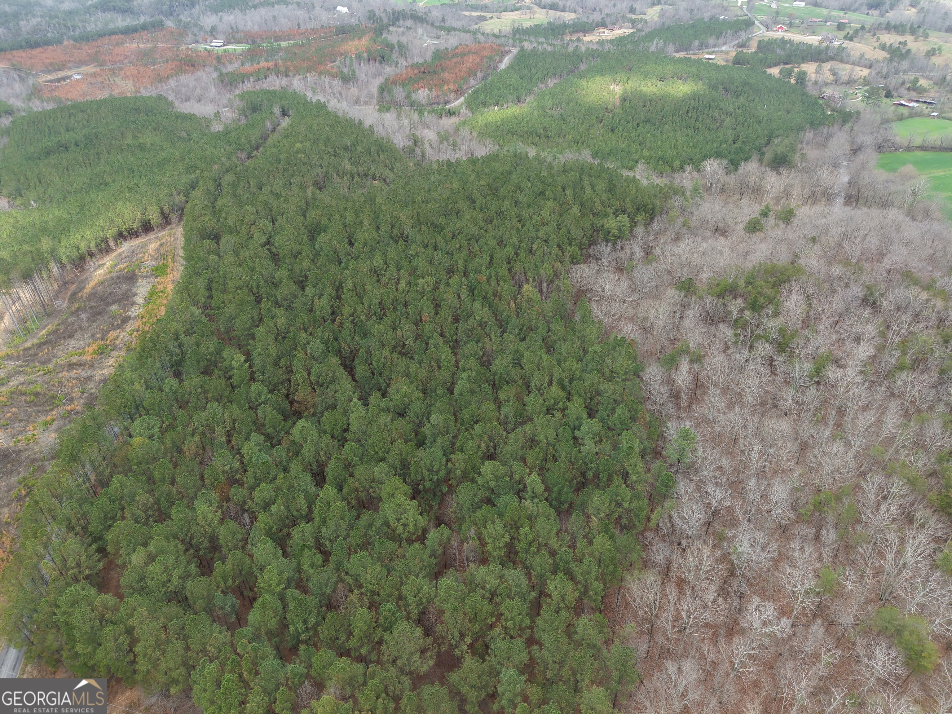 0 Johnson Mountain Road Rydal GA 30171