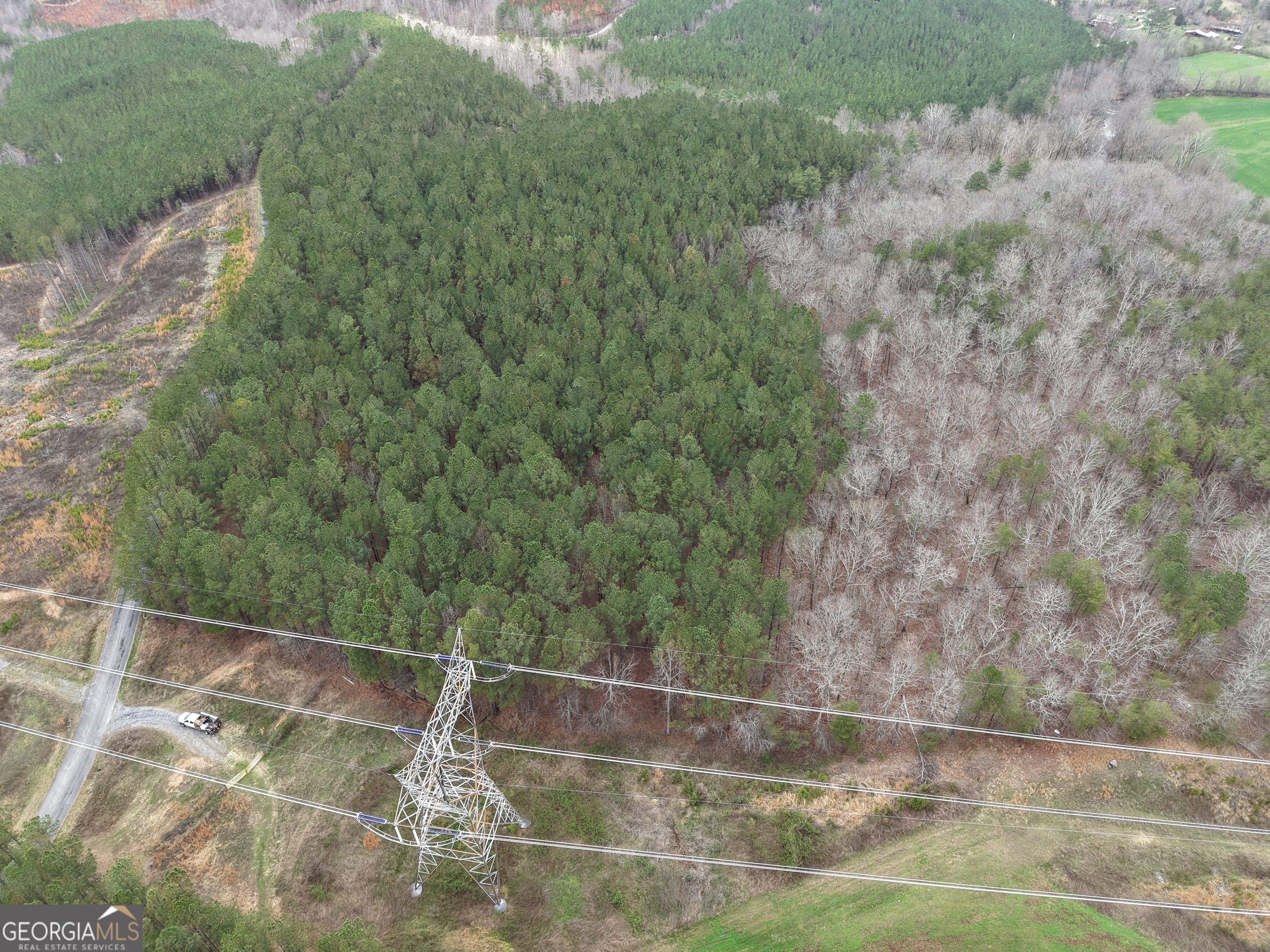 0 Johnson Mountain Road Rydal GA 30171