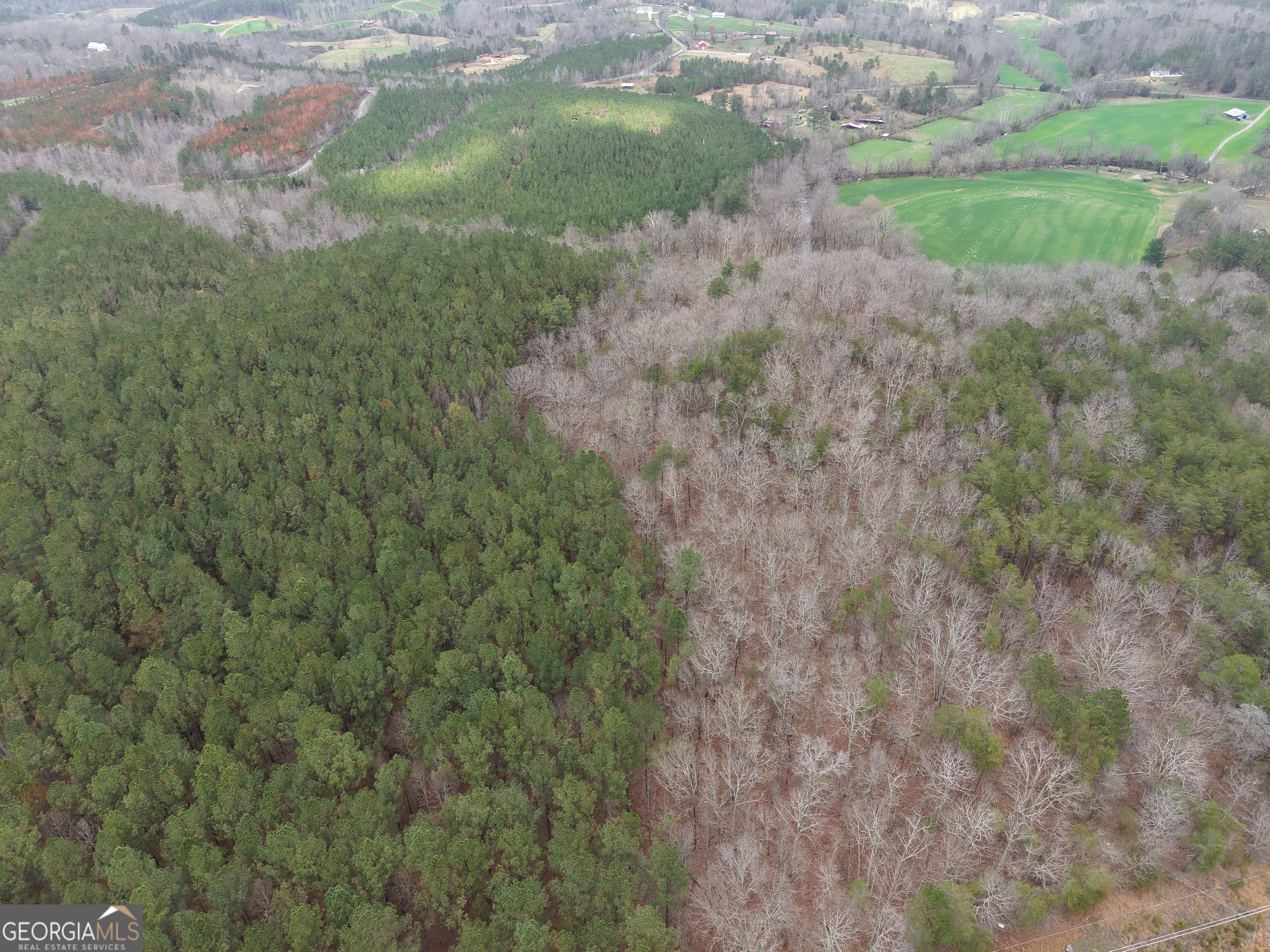0 Johnson Mountain Road Rydal GA 30171