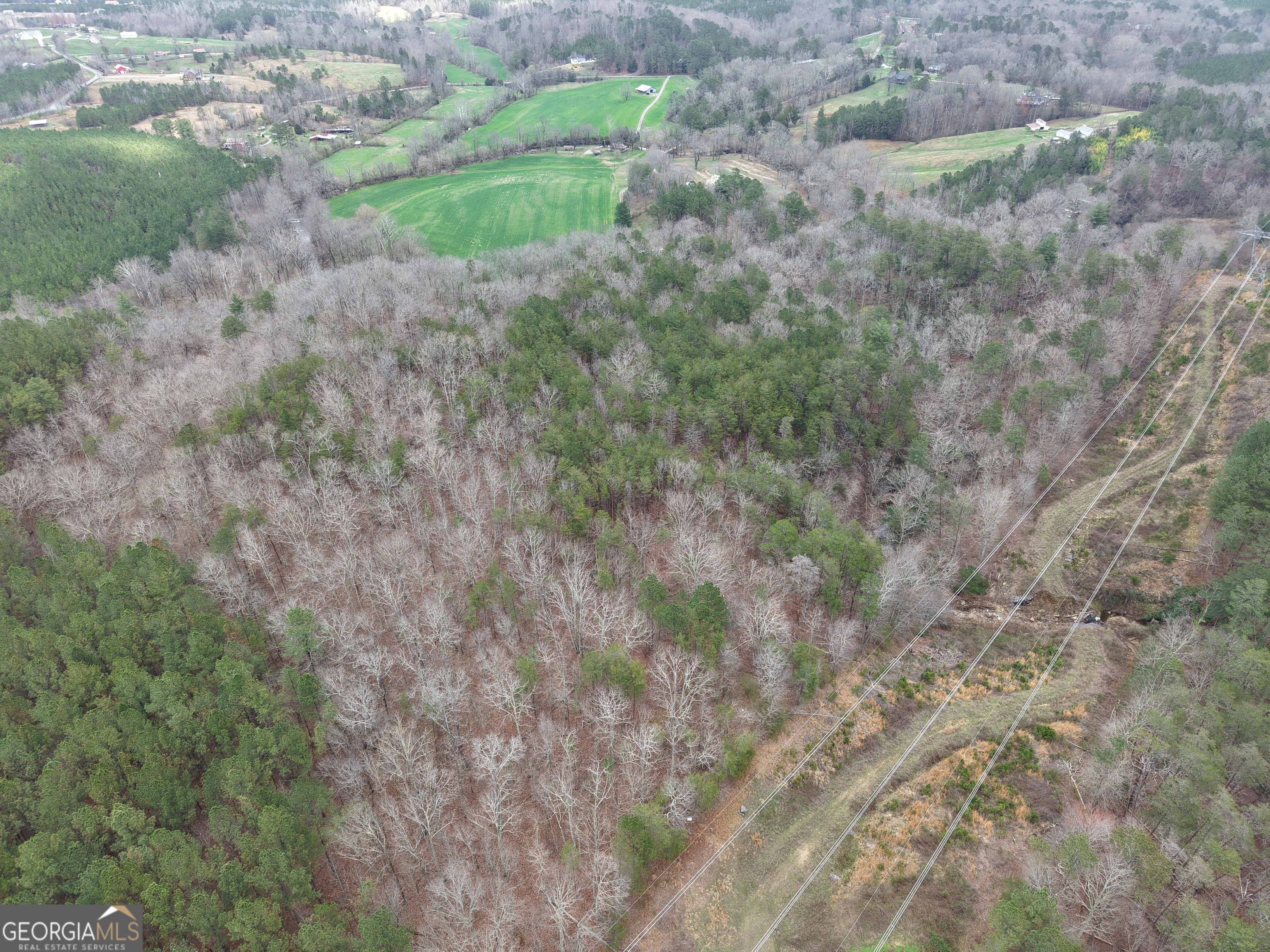 0 Johnson Mountain Road Rydal GA 30171