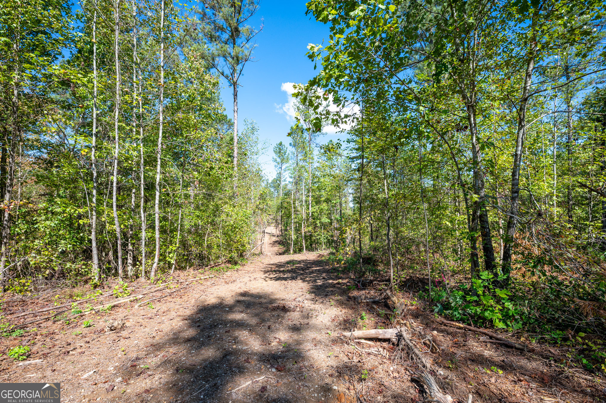 3809 Highway 140 NE Rydal GA 30171