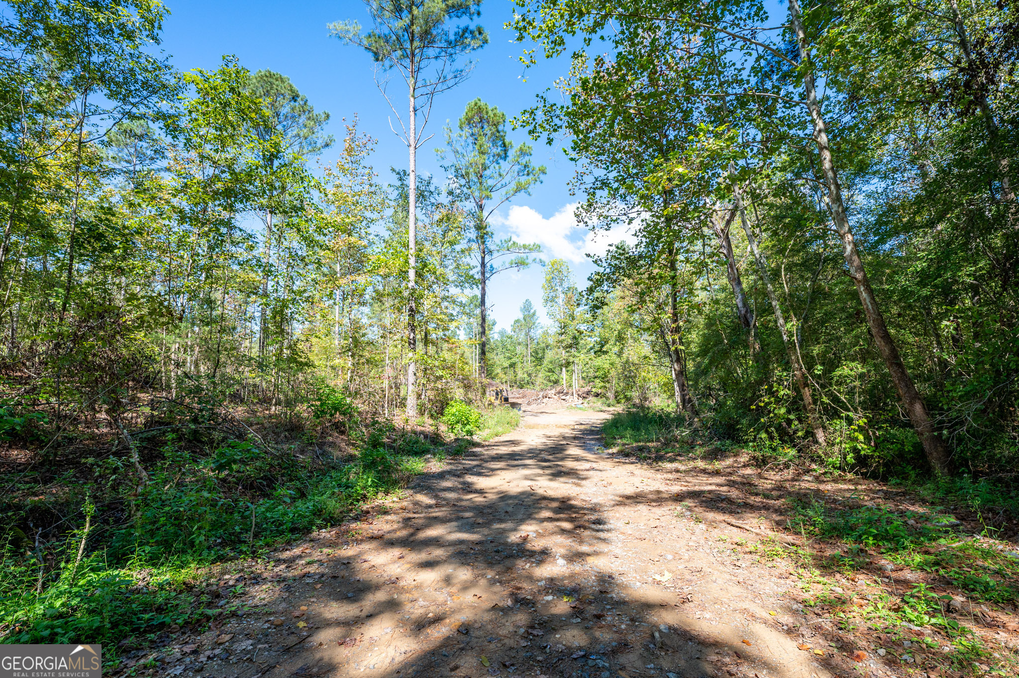 3809 Highway 140 NE Rydal GA 30171