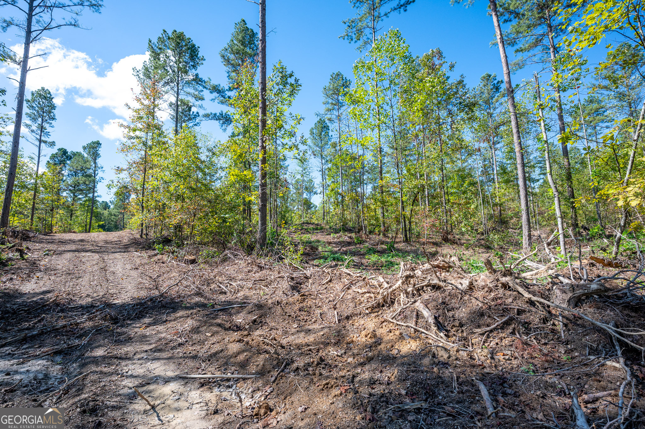 3809 Highway 140 NE Rydal GA 30171