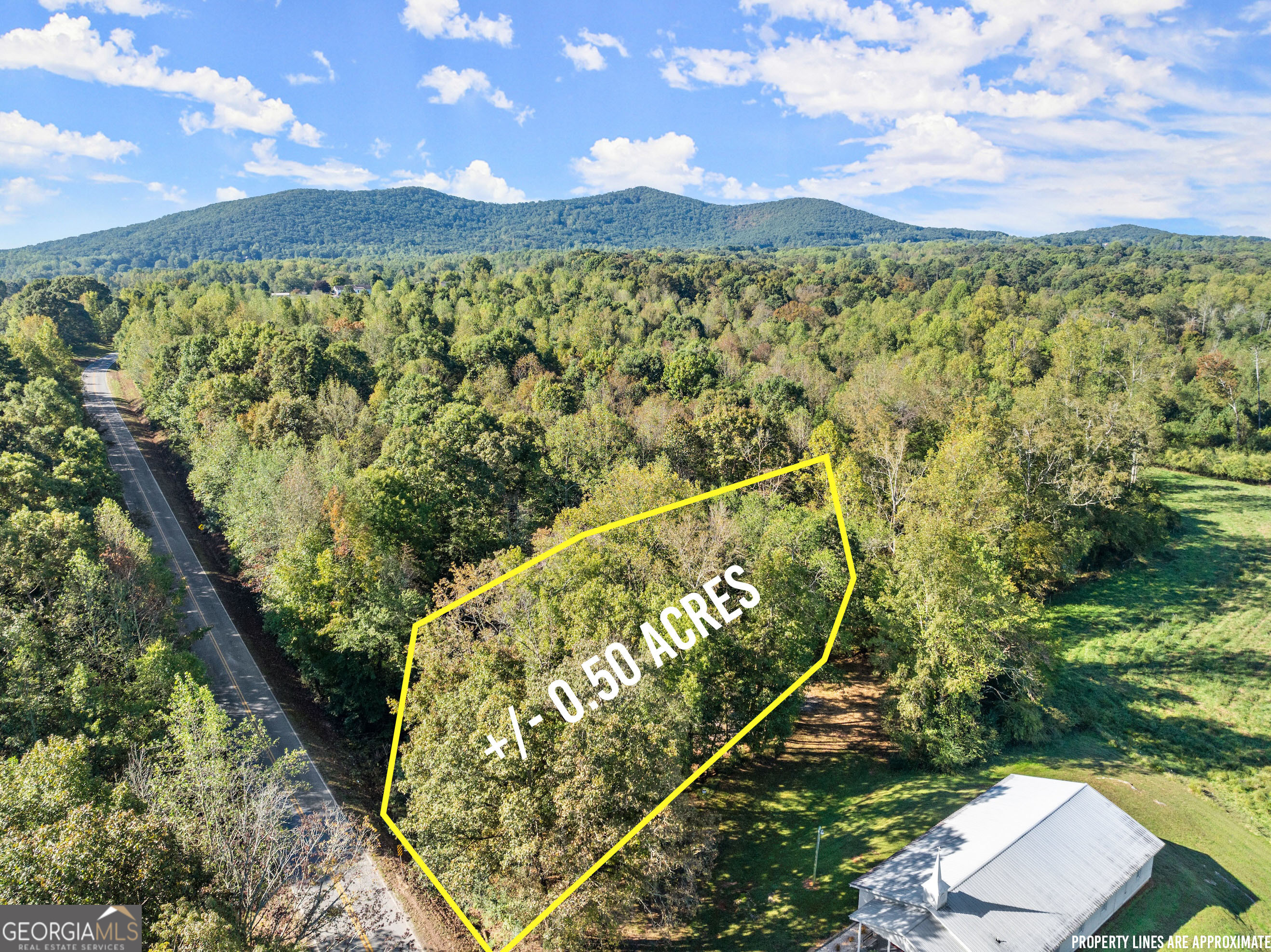 0 Ray Palmer Road Cleveland GA 30528