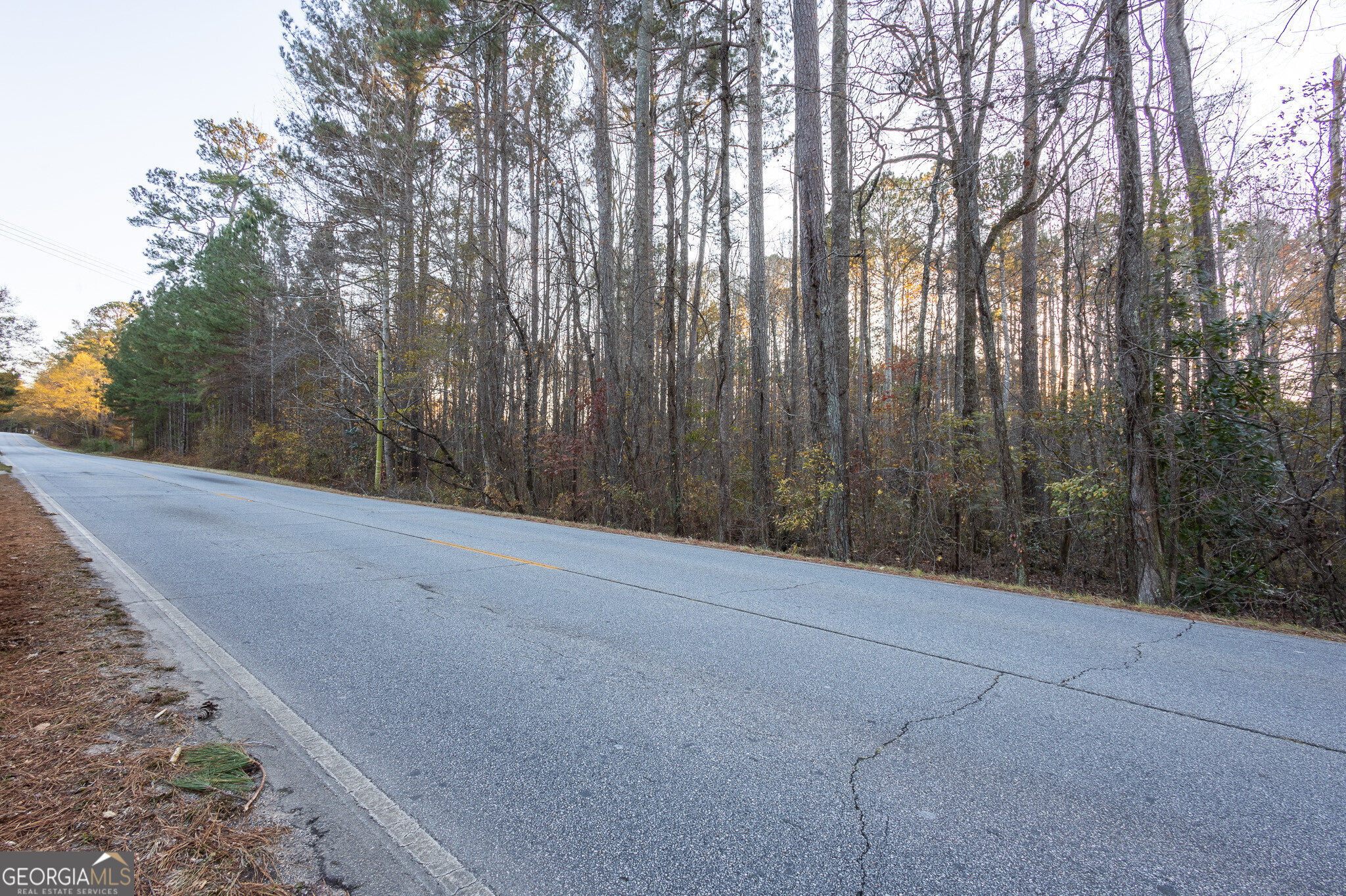 3330 Highway 3 N Hampton GA 30228