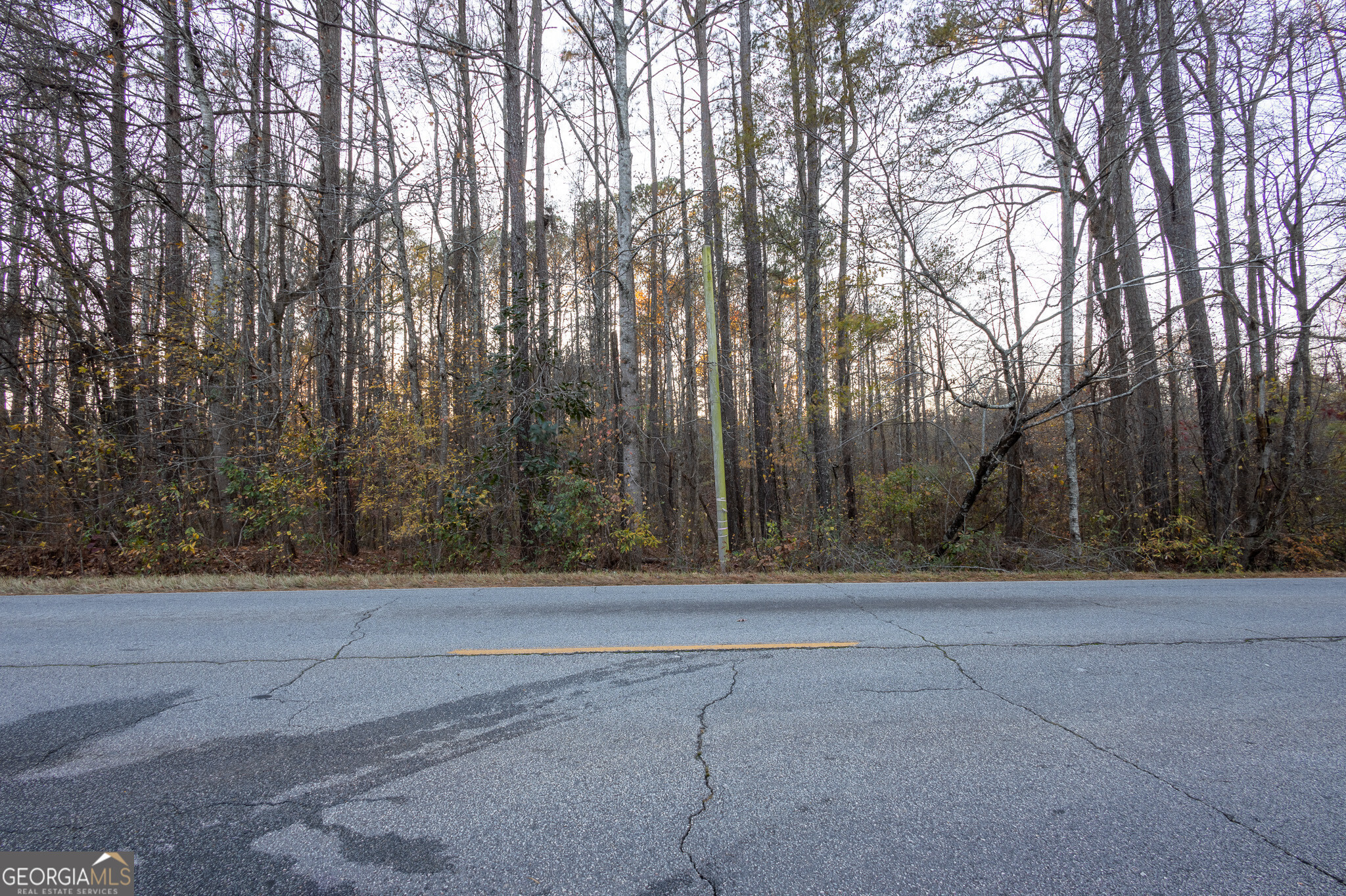 3330 Highway 3 N Hampton GA 30228