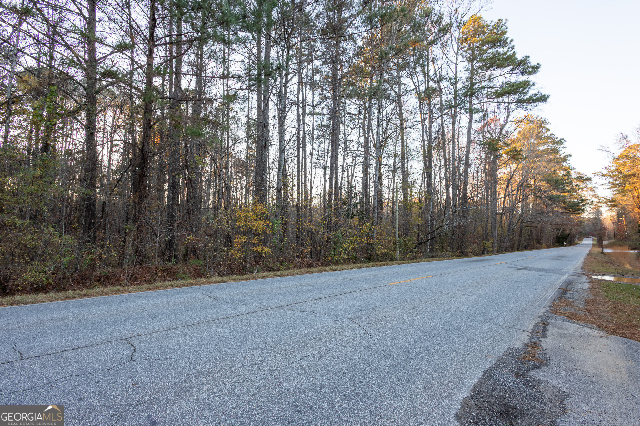 3330 Highway 3 N Hampton GA 30228