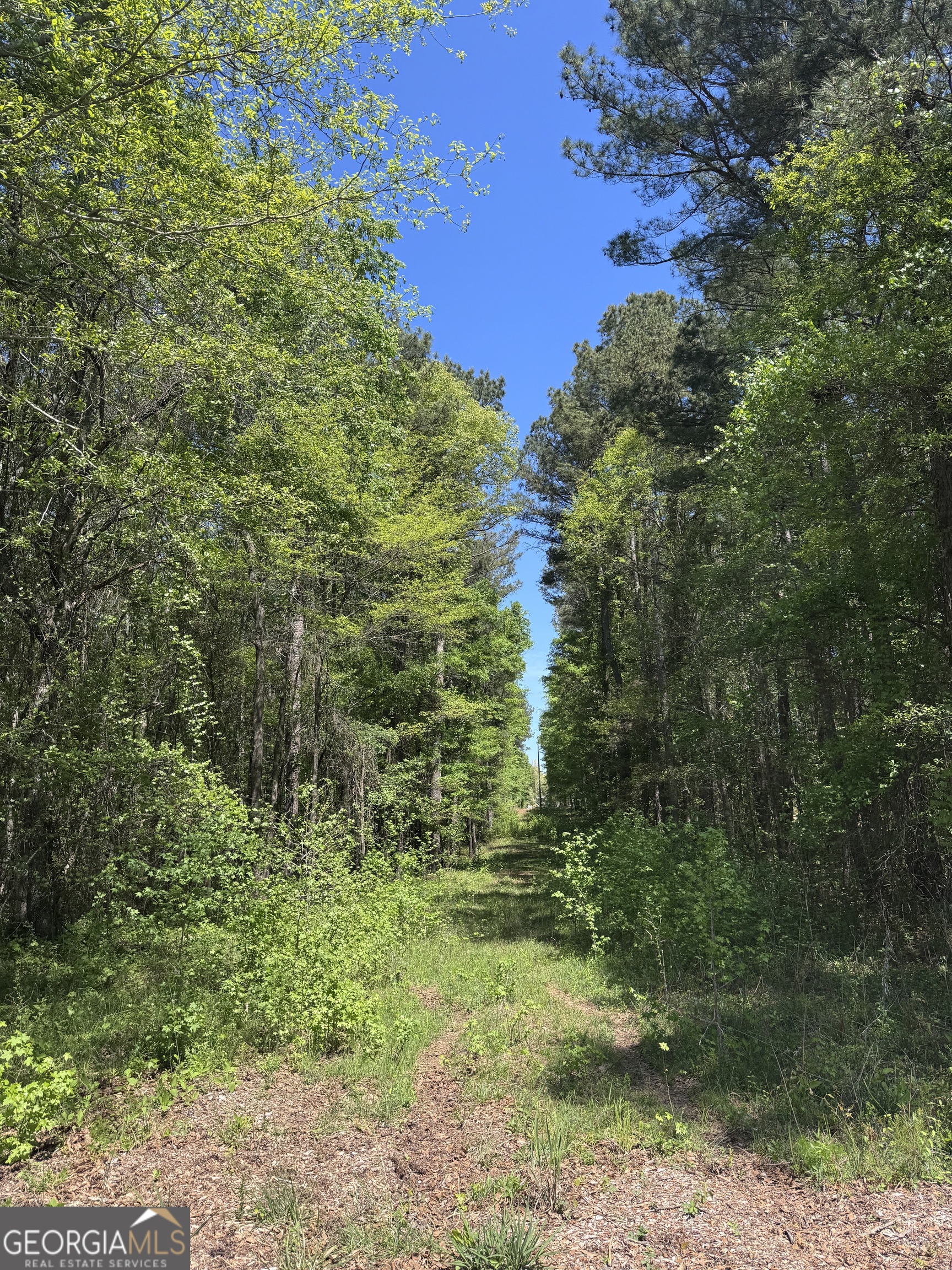 0 Roquemore Road Athens GA 30607