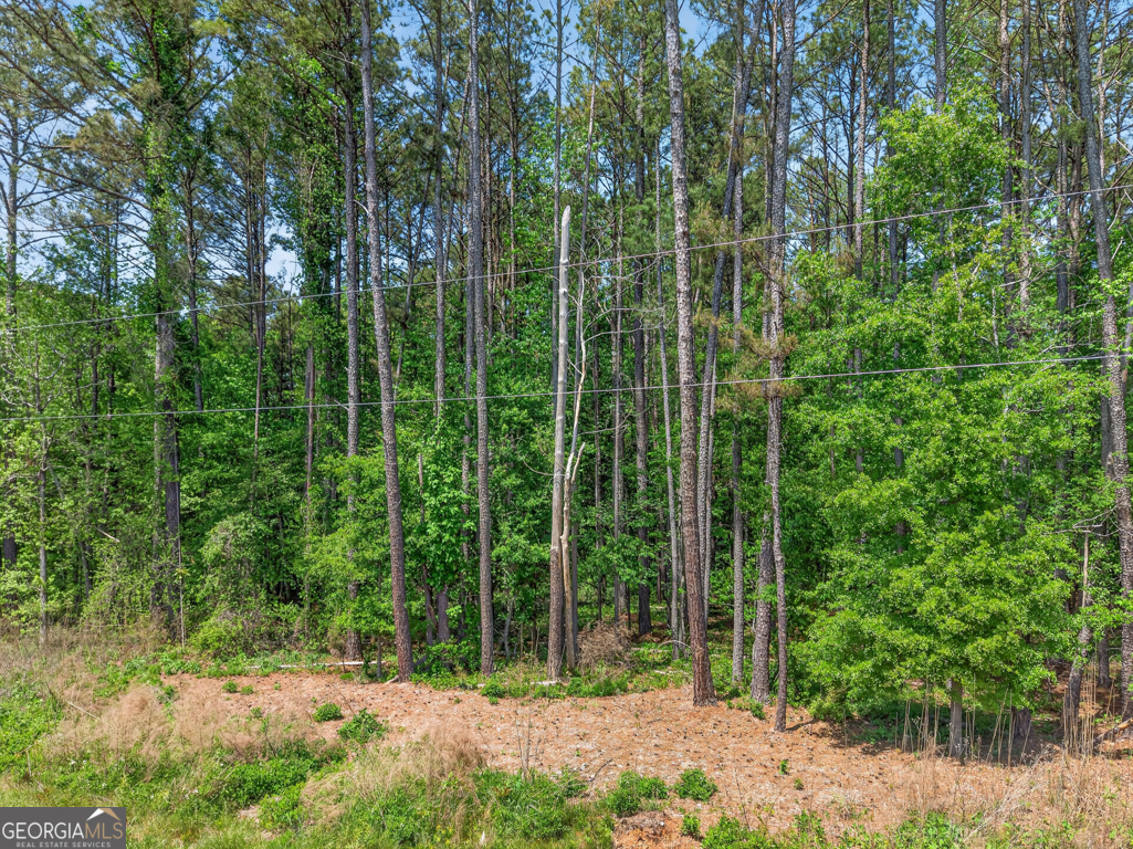0 Roquemore Road Athens GA 30607