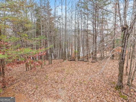 0 South Laceola Road Cleveland GA 30528