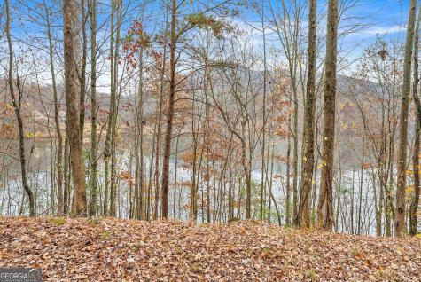 0 South Laceola Road Cleveland GA 30528