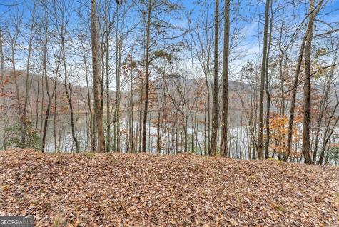 0 South Laceola Road Cleveland GA 30528