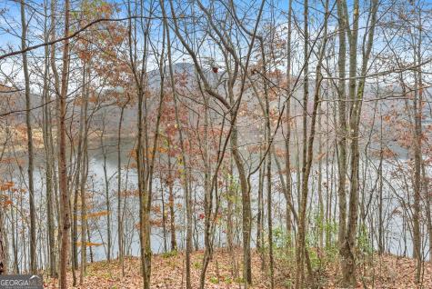 0 South Laceola Road Cleveland GA 30528