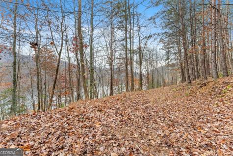 0 South Laceola Road Cleveland GA 30528
