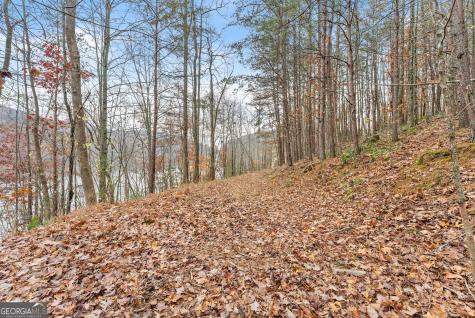 0 South Laceola Road Cleveland GA 30528