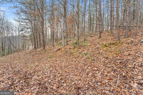 0 South Laceola Road Cleveland GA 30528