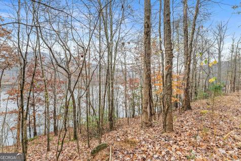 0 South Laceola Road Cleveland GA 30528