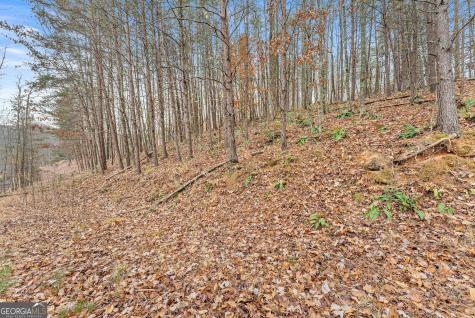 0 South Laceola Road Cleveland GA 30528