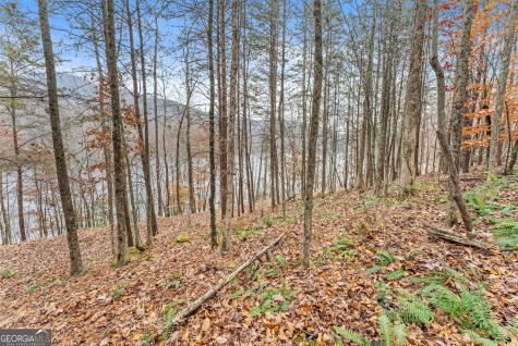 0 South Laceola Road Cleveland GA 30528