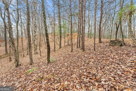 0 South Laceola Road Cleveland GA 30528