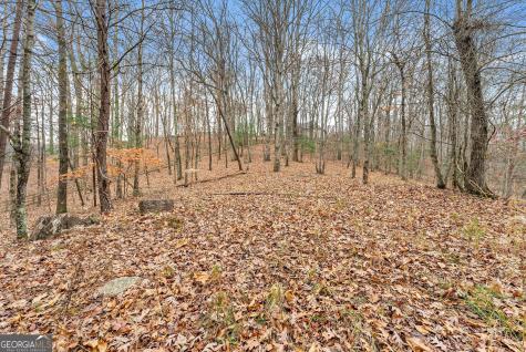 0 South Laceola Road Cleveland GA 30528