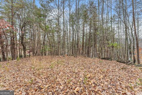 0 South Laceola Road Cleveland GA 30528