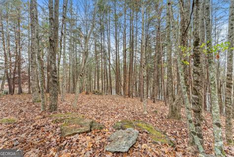 0 South Laceola Road Cleveland GA 30528