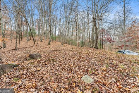 0 South Laceola Road Cleveland GA 30528
