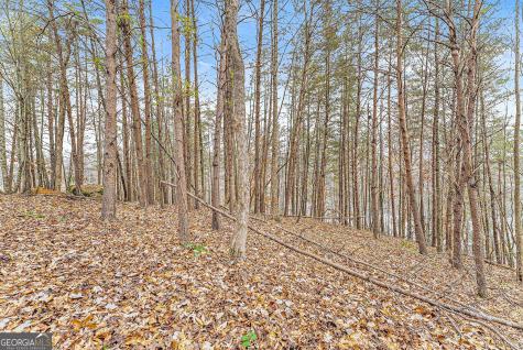 0 South Laceola Road Cleveland GA 30528