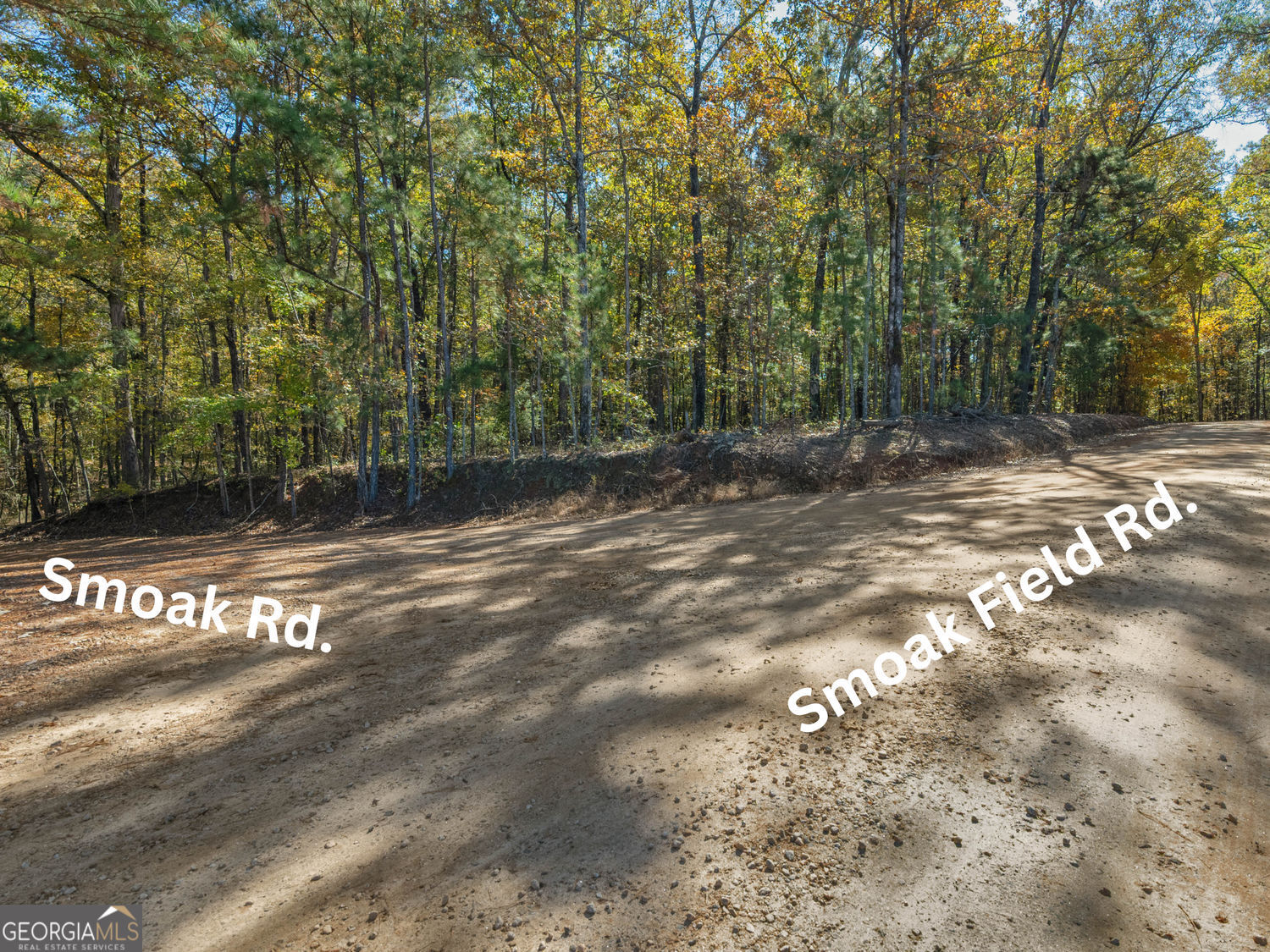 176 Smoak Field Road Griffin GA 30223