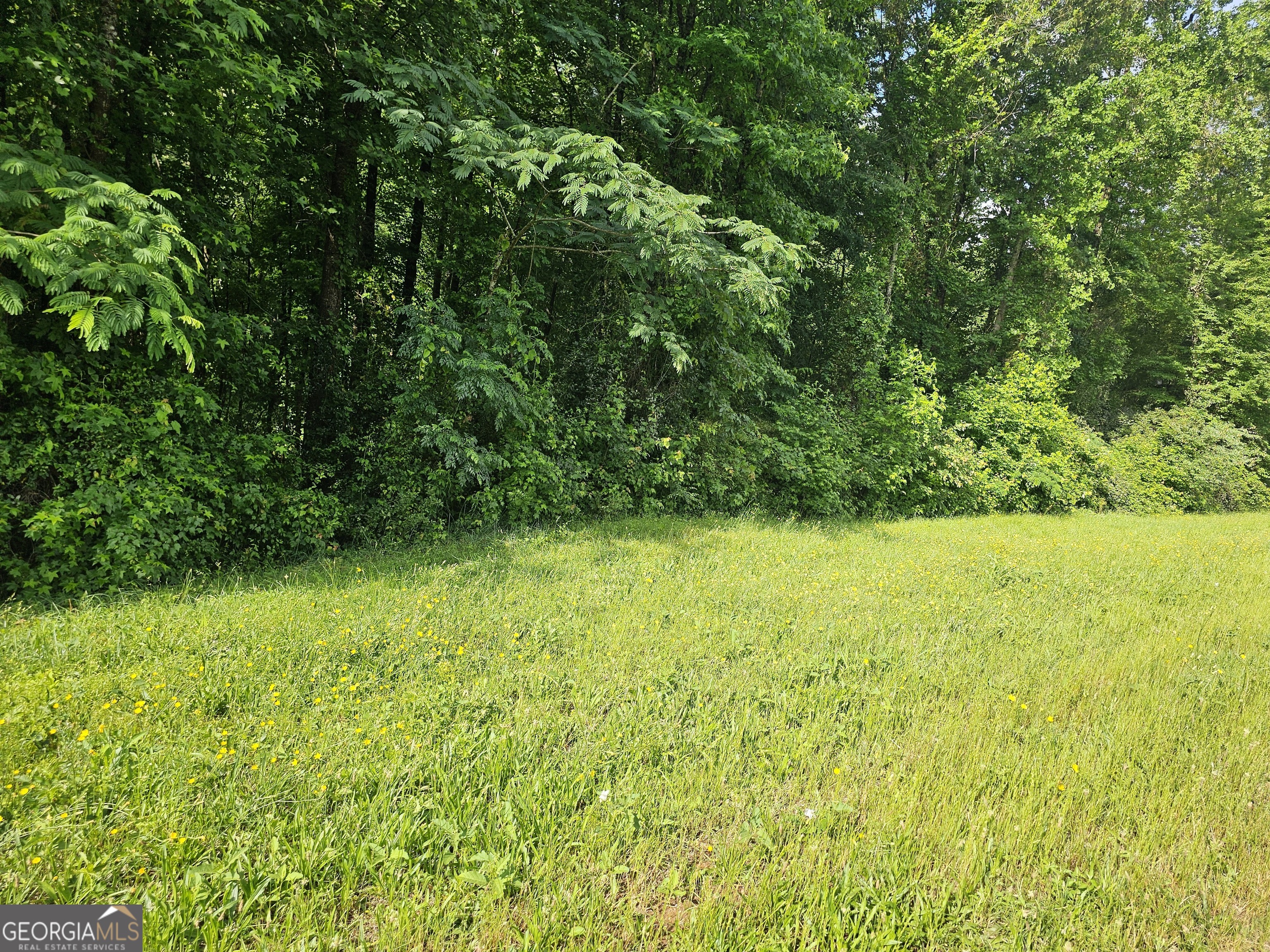 12103 Brown Bridge Road Covington GA 30016