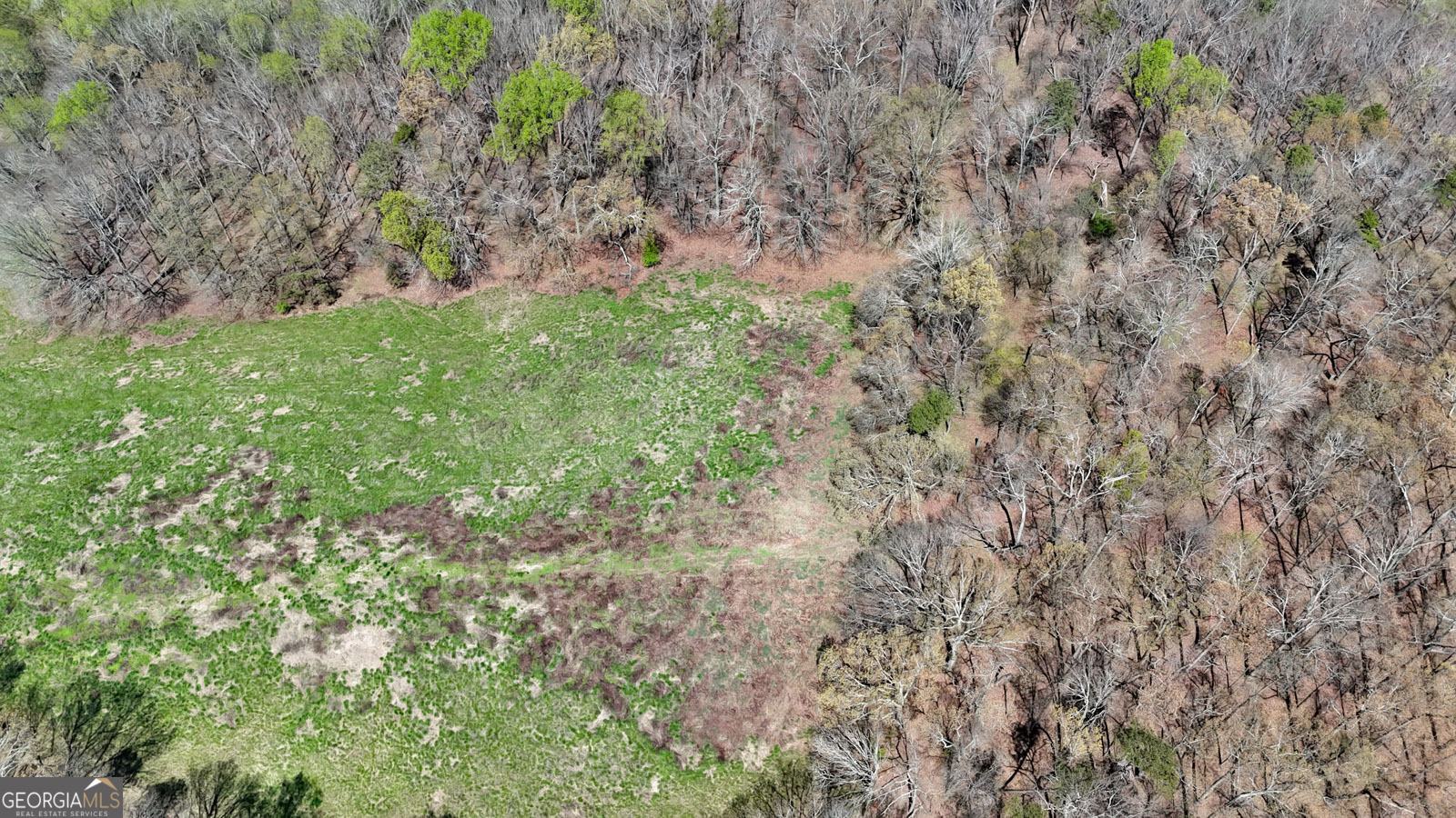 11267 Cherokee Ball Ground GA 30107
