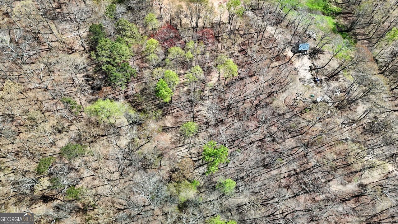 11267 Cherokee Ball Ground GA 30107