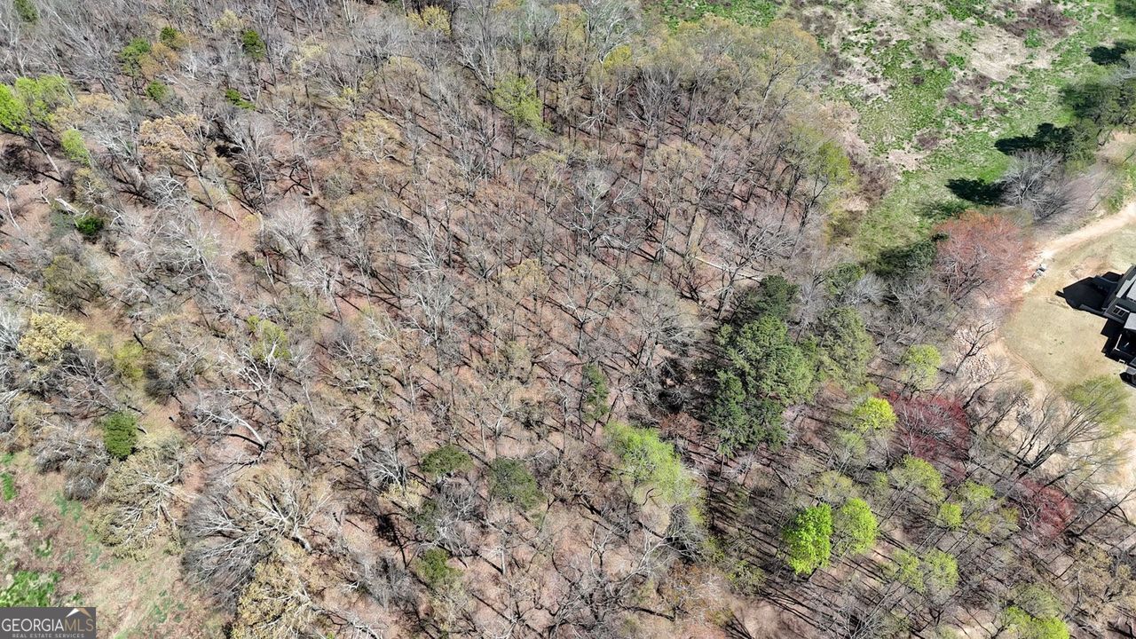 11267 Cherokee Ball Ground GA 30107