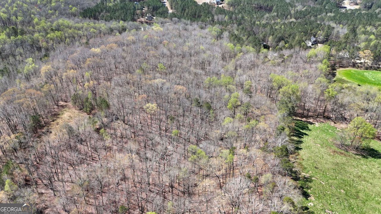 11267 Cherokee Ball Ground GA 30107