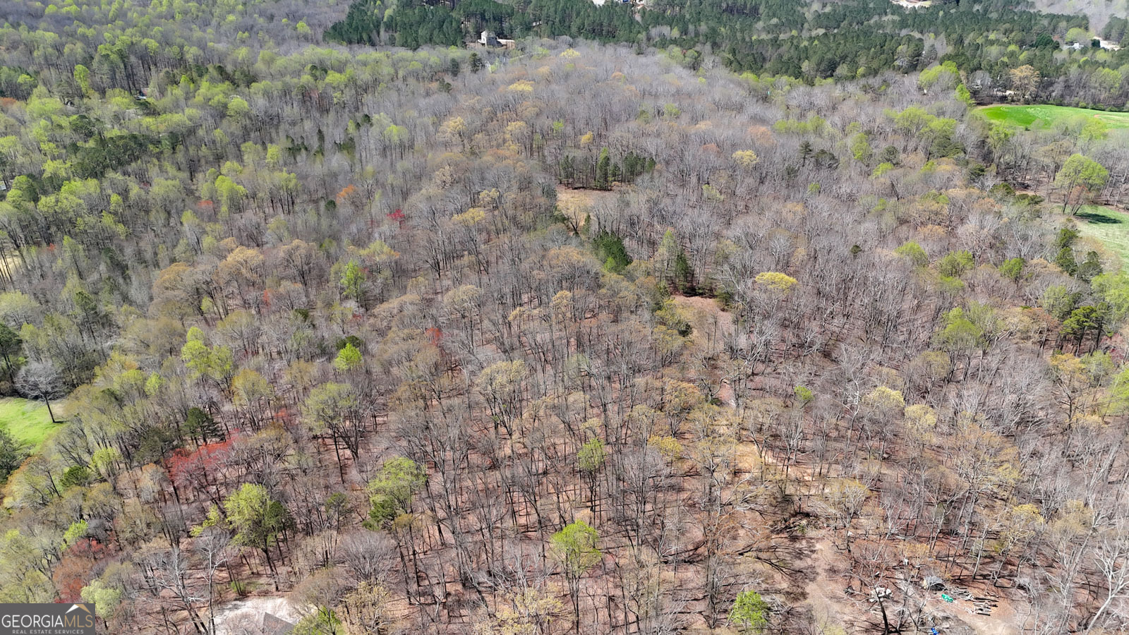 11267 Cherokee Ball Ground GA 30107