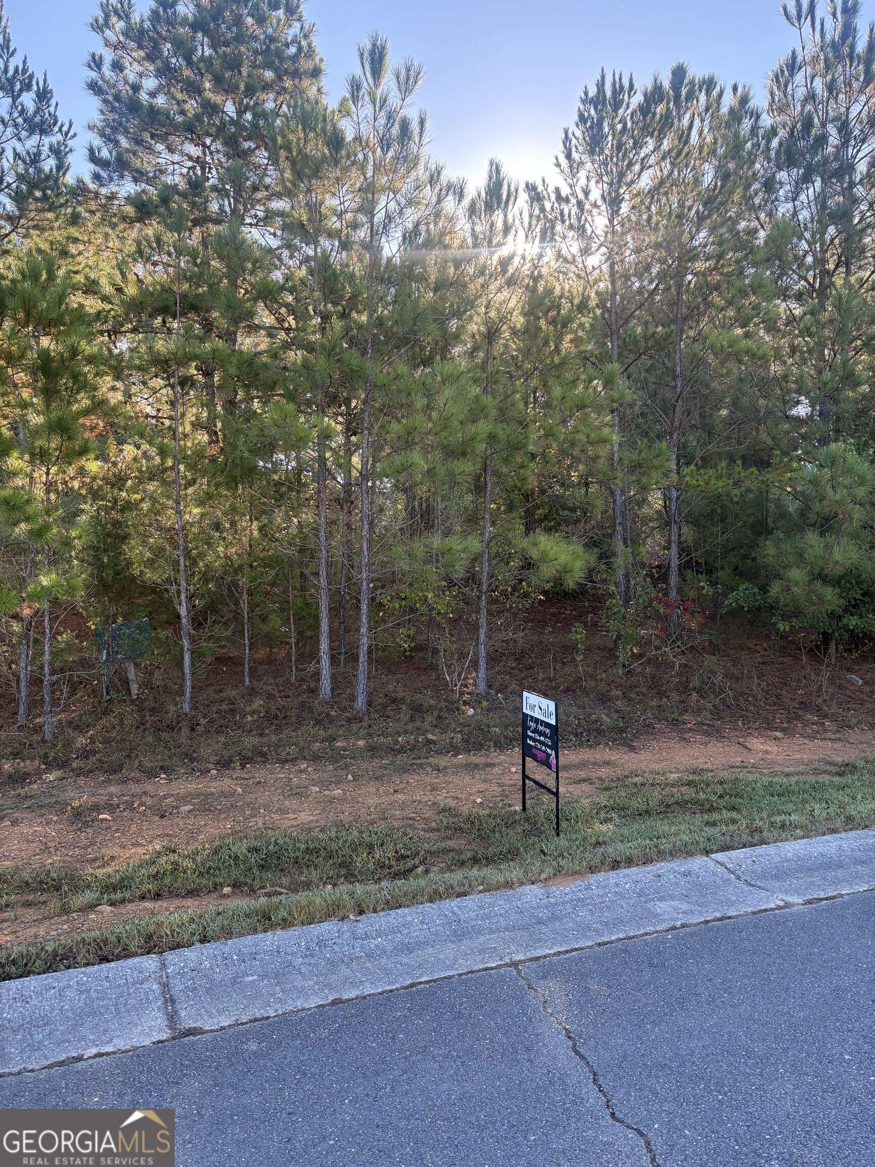 0 Joy Drive Cedartown GA 30125