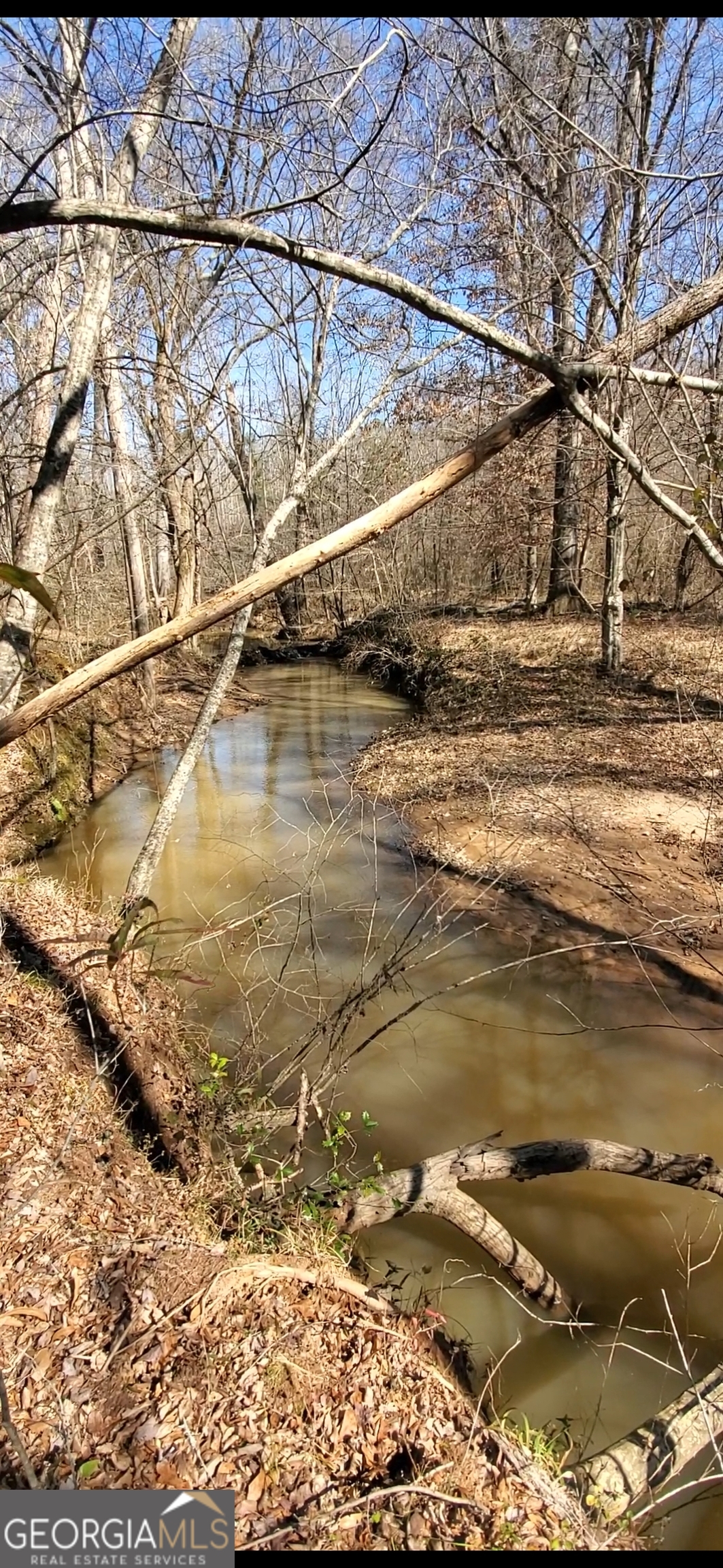 0 Duncan Circle Jackson GA 30233