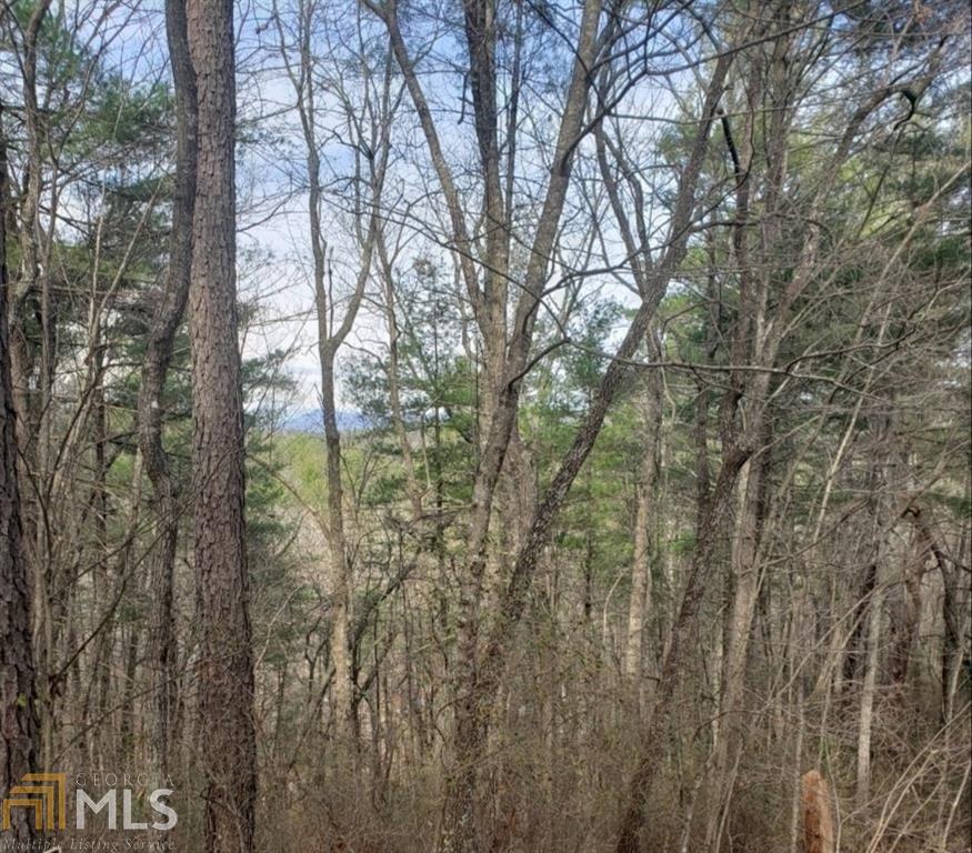0 Live Oak Lane Lakemont GA 30552