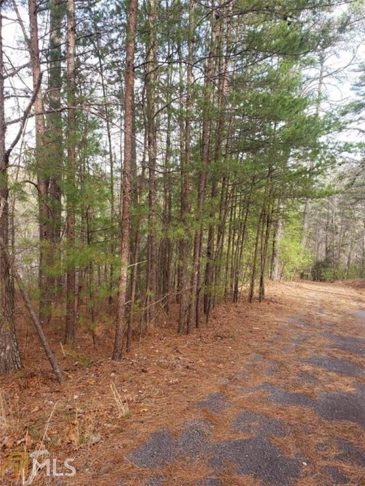 0 Live Oak Lane Lakemont GA 30552