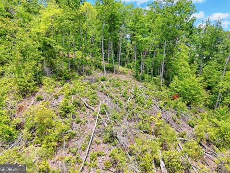 Lot 28 Bryson Creek Murphy NC 28906