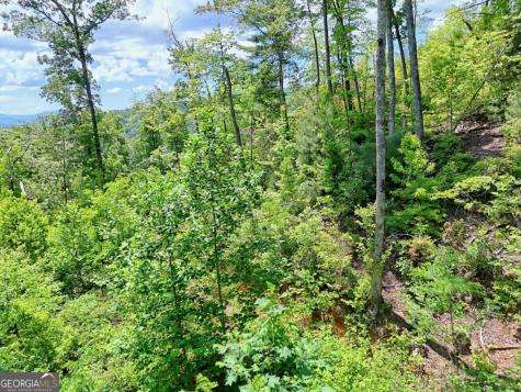 Lot 28 Bryson Creek Murphy NC 28906
